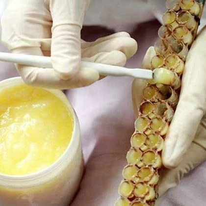 100% Pure Royal Jelly